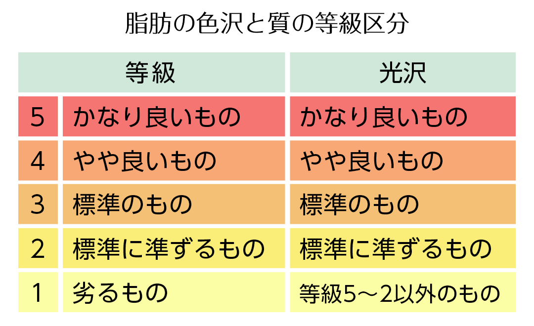 脂肪の色沢と質の等級区分