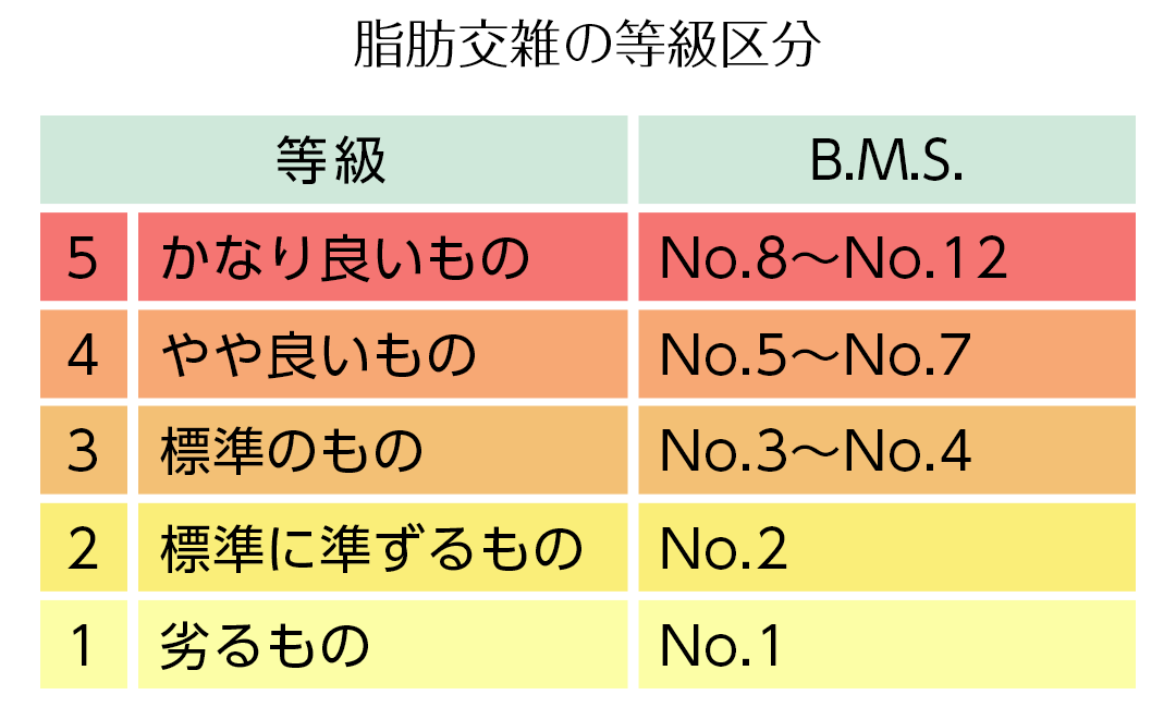 脂肪交雑の等級区分