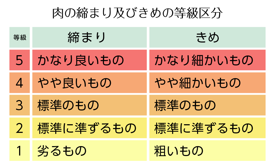 肉の締まり及びきめの等級区分