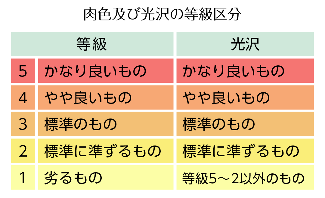 肉色及び光沢の等級区分