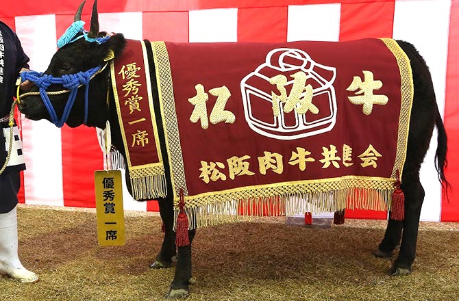 special product Matsusaka beef cattle