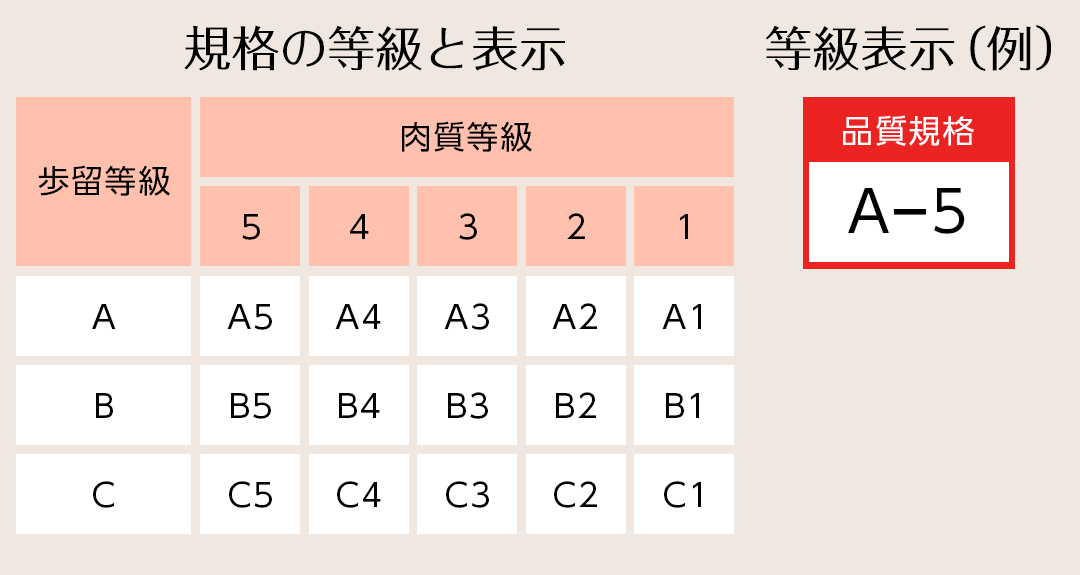 規格の等級と表示